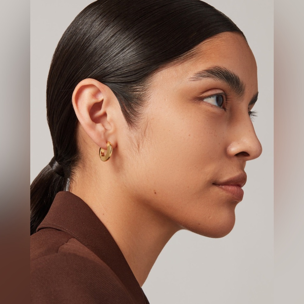 JENNY BIRD Toni Hinged Hoop Earrings - Small, Gold, BRAND NEW, $110 - Picture 2 of 9